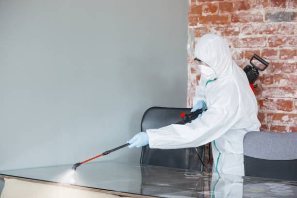 Best Asbestos and Lead Testing During Mold Inspection in Colma, CA