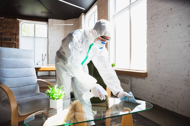 Best Forensic Mold Investigation in Colma, CA