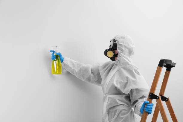 Best Industrial Mold Remediation in Colma, CA